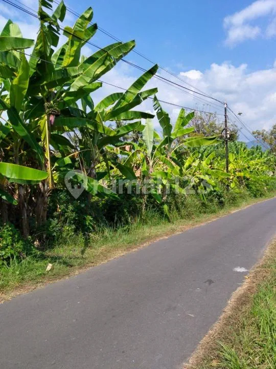 Tanah Strategis Pinggir Jalan Dekat Pantai Lovina Singaraja - Image 2 of 4