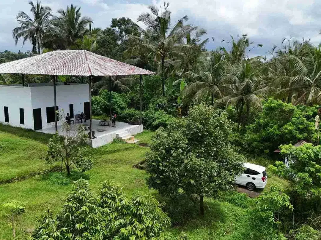 Jual kebun durian premium harga murah view bagus di tabanan bali. - Image 7 of 10