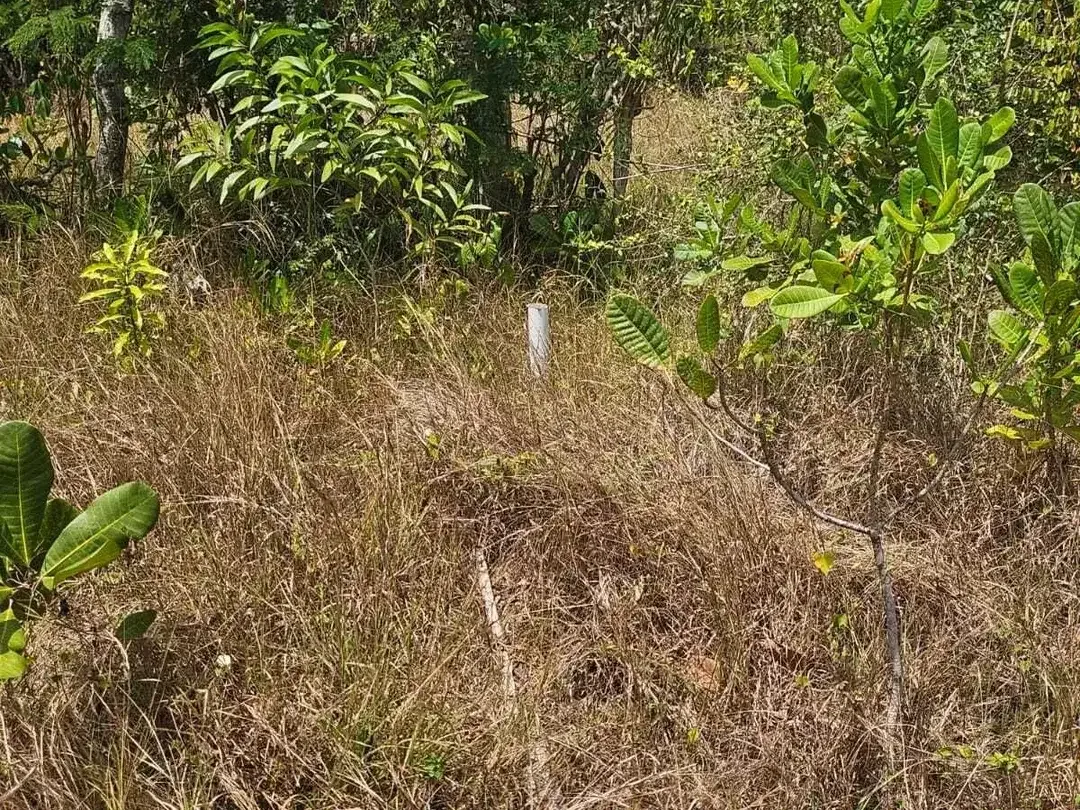 Land for sale in Uluwatu, Bali - Image 3 of 10