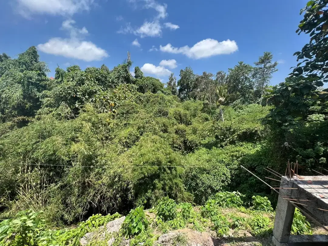 Dijual Tanah Los Sungai di Pusat Ubud Jalan Suweta - Image 2 of 9
