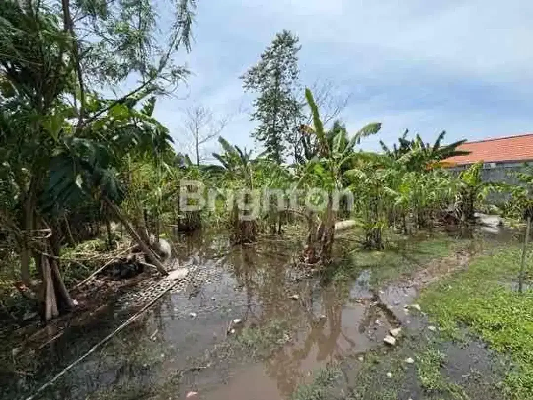 7,15 ARE LEASEHOLD LAND IN SANUR BEACHSIDE WITH PRIVATE ENTRANCE - Image 2 of 6