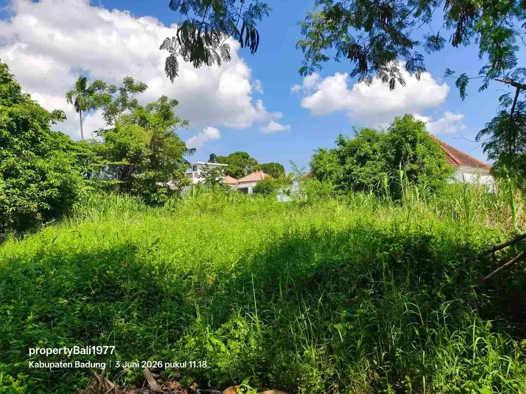 Tanah 435m2 jln Utama Uma buluh kayu tulang canggu - Image 6 of 7