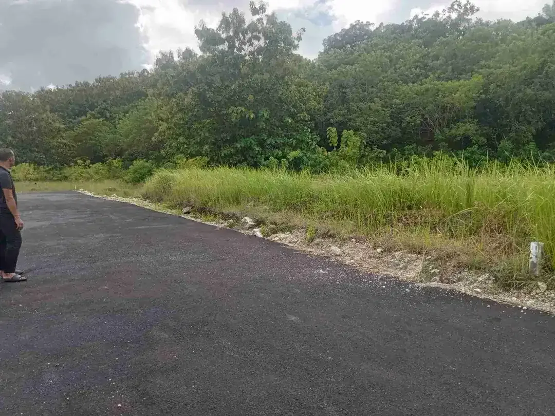 dijual tanah 15 are IDR 450 juta per are dekat poltekpar Bali STP nusa dua - Image 3 of 6