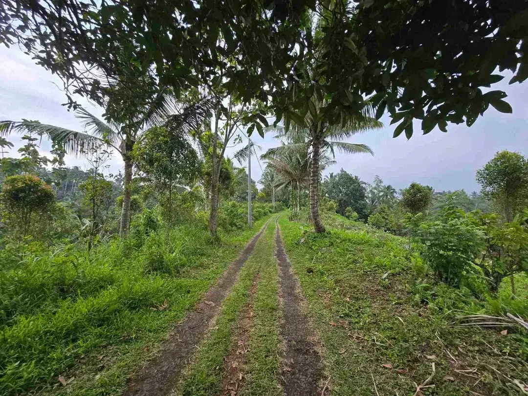 Dijual tanah kosong murah di tabanan bali - Image 7 of 10