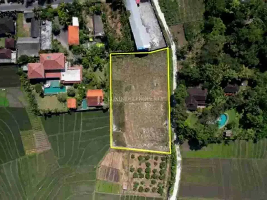 Di jual tanah murah di Tabanan dekat pantai pasut sangat cocok untuk komplex villa - Image 2 of 5