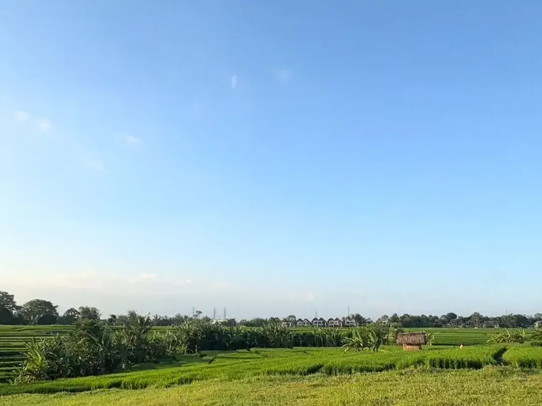 Tanah KEDUNGU siap bangun 2 KM Pantai - Image 8 of 10