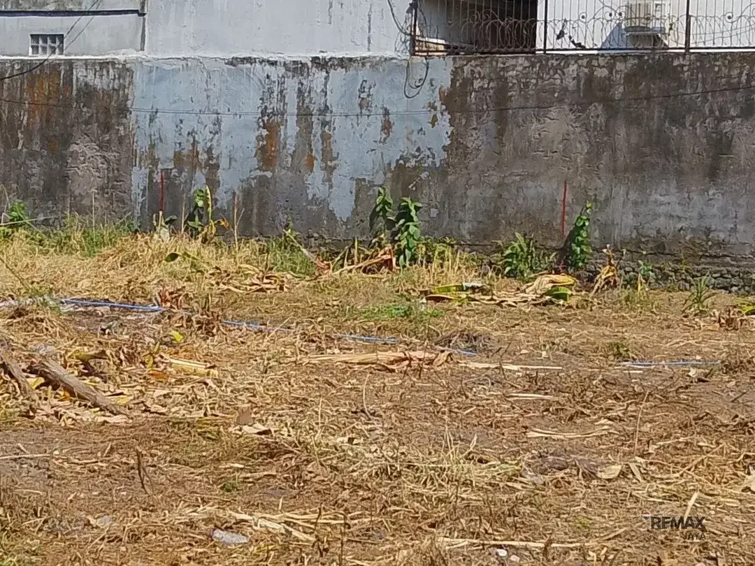 Tanah Kavling Leasehold maksimal 25 tahun dan Rumah Kost, di Tonja - Image 4 of 5
