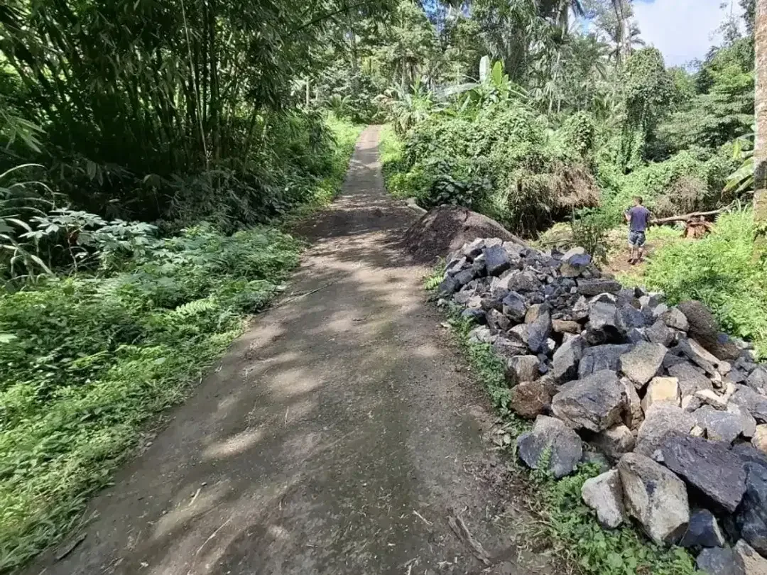 tanah kebun produktif di kelilingi sungai kecil - Image 8 of 9