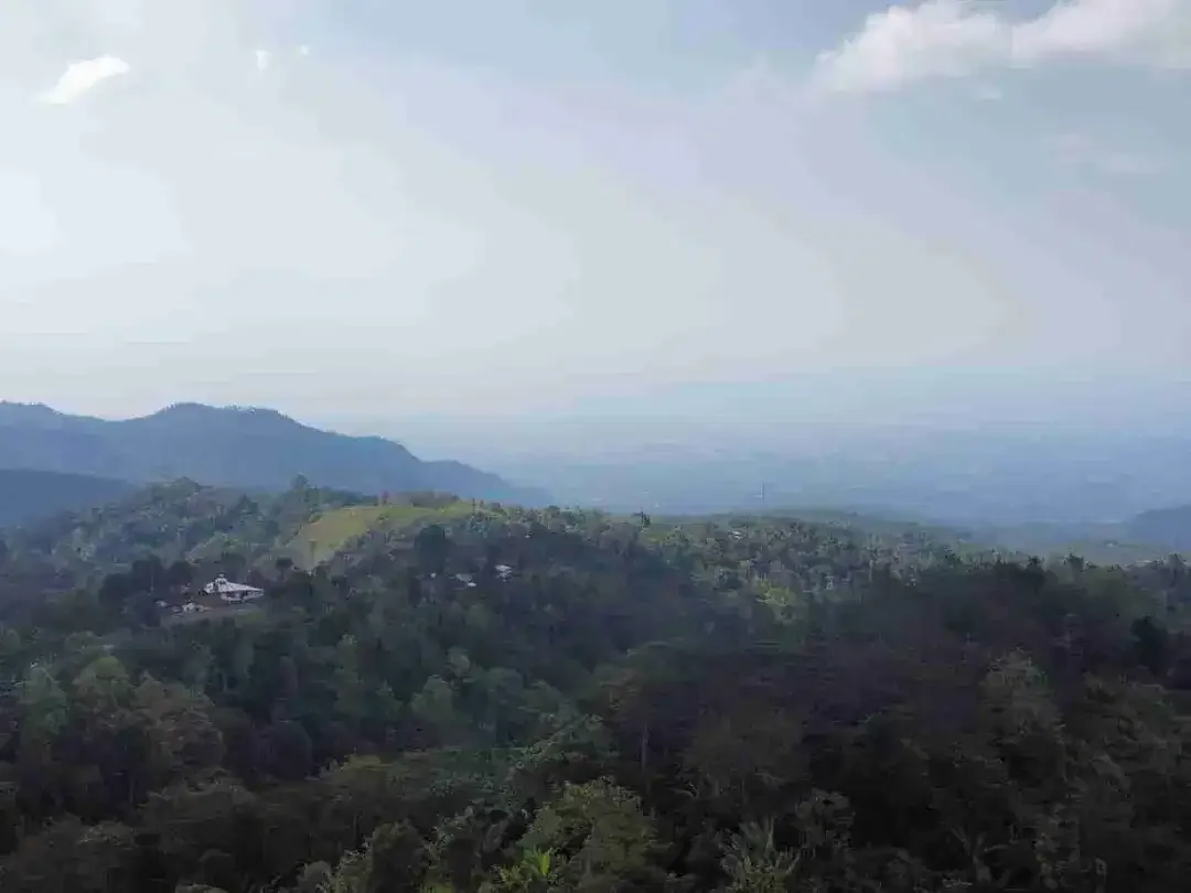 Tanah 30 Ha View Alam Kawasan Turyapada Buleleng - Image 8 of 8
