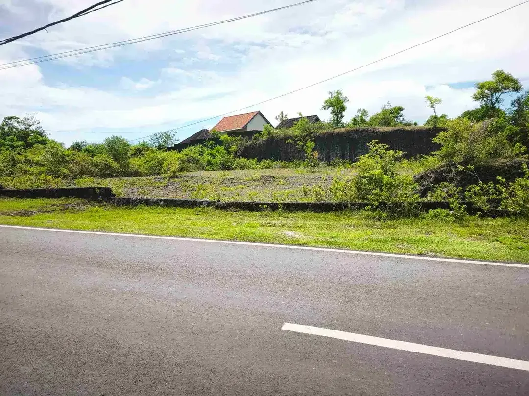 dijual tanah 2510m² IDR 850 juta per are jln Nusa dua selatan Kutuh Badung Bali - Image 2 of 10