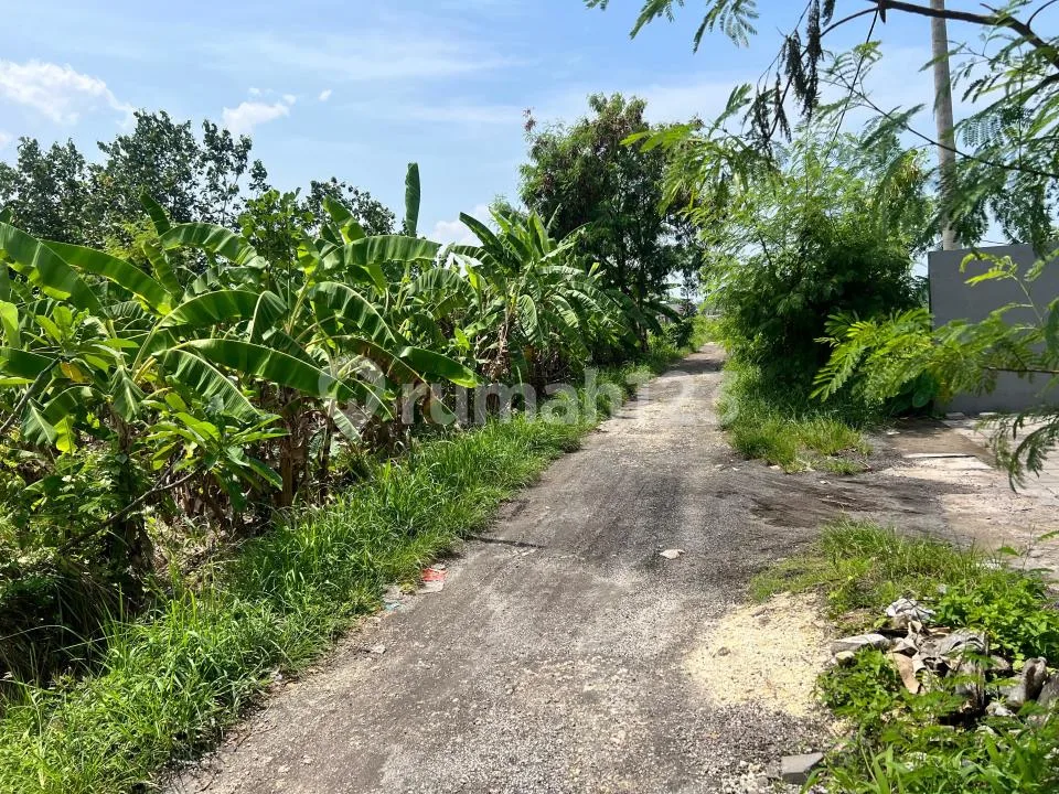 Tanah Di Jl. Pantai Berawa Tibubeneng Canggu Shm 1085.0 MÂ² - Image 3 of 4