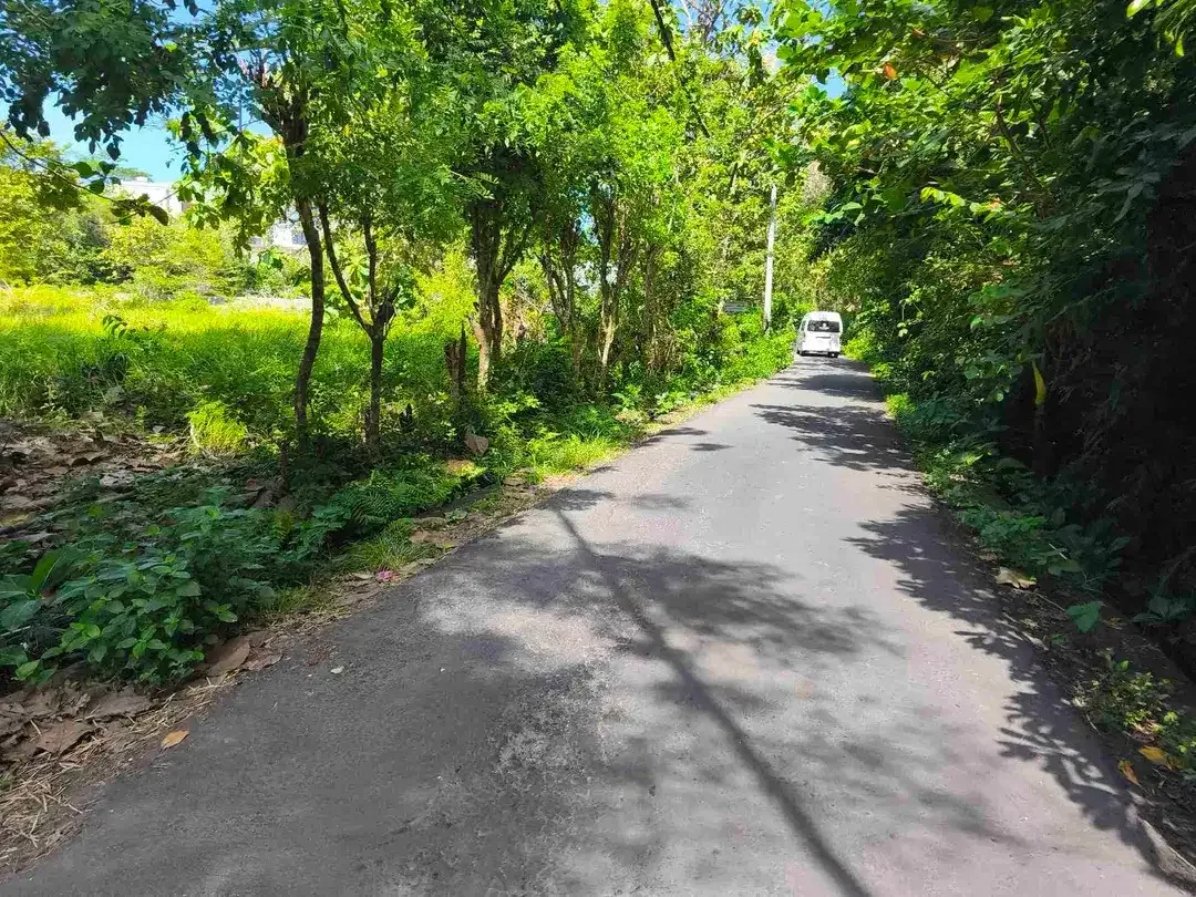 dijual tanah 2035m² IDR 450 juta per are dekat poltekpar Bali STP nusa dua Kuta Selatan Badung Bali - Image 5 of 10