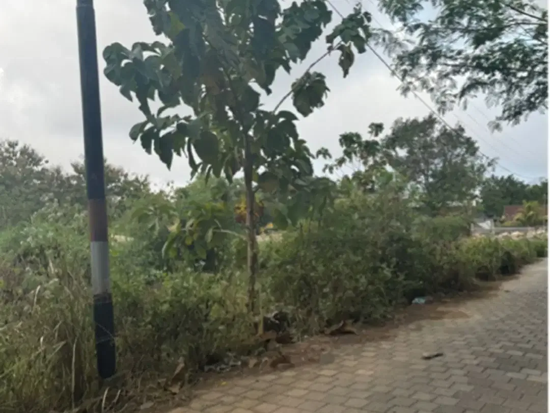 Leasehold land 52 acre Toyaning Melasti Beach - Image 2 of 7