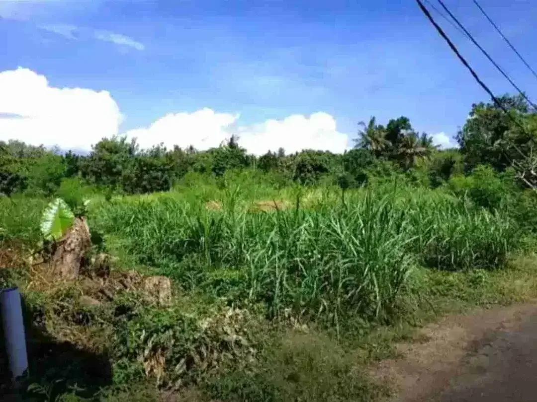 Tanah Premium Pantai Saba Gianyar - Image 6 of 10