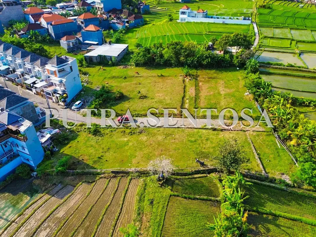 TANAH TUMBAK BAYUH MUNGGU LINGKUNGAN VILLA - Image 7 of 10