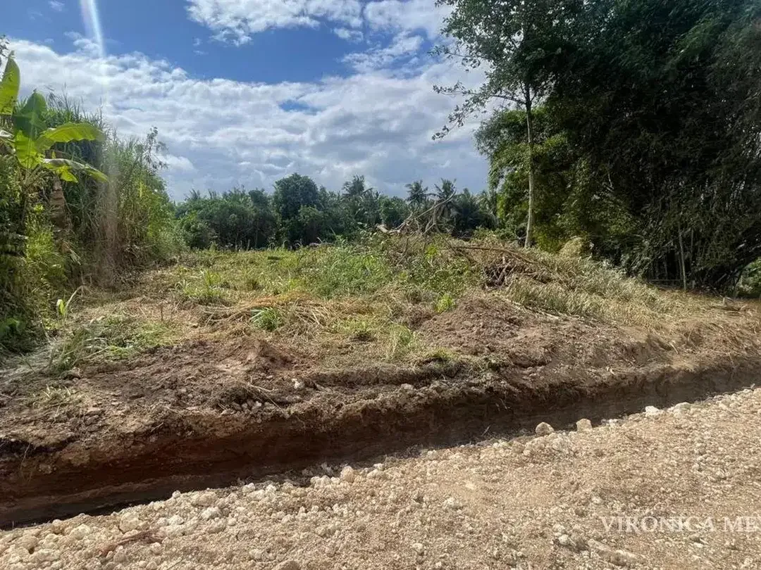 TANAH GLOBAL DIJUAL CEPAT – SABA, GIANYAR. - Image 2 of 3
