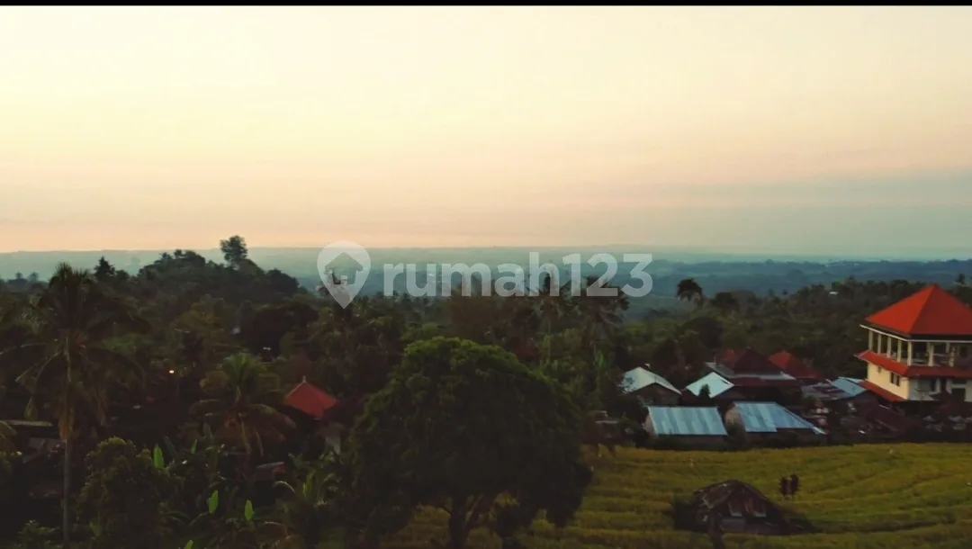 Tanah Eksklusif View Alam di Sambangan Buleleng Bali Utara Zona Kuning Dikelilingin Villa dan Hotel Harga Masih 800 Jutaan! - Image 3 of 4