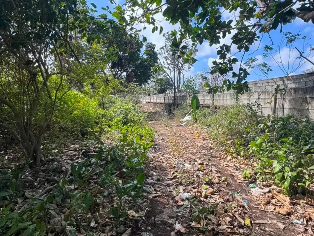 Premium Ocean View Land for Sale in Balangan, Bali – 9,250 m² Freehold Tourism Zone, Ideal for Villa, Resort & Hotel Development - Image 5 of 5