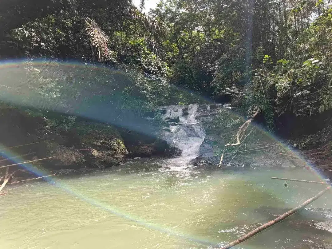 tanah strategis berisi air terjun yang sangat unik di tabanan harga murah - Image 3 of 10