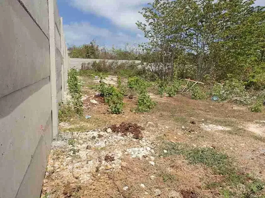 DIJUAL TANAH PREMIUM HANYA BERJARAK 3 MENIT PANTAI PANDAWA - Image 4 of 7