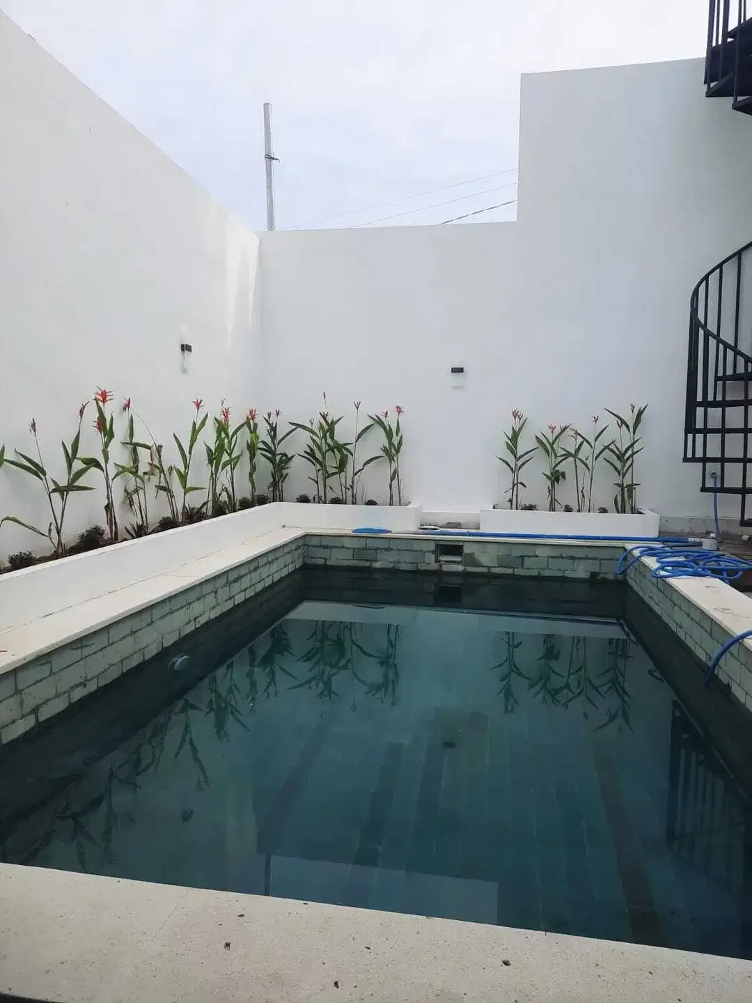 Disewakan -Leasehold-  3 Bedroom Villa di Padonan Canggu - Image 4 of 6