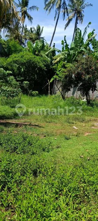 For Sale 10 Are Land Just 4 Minute To The Central And Beach In Lovina Bali - Image 3 of 4