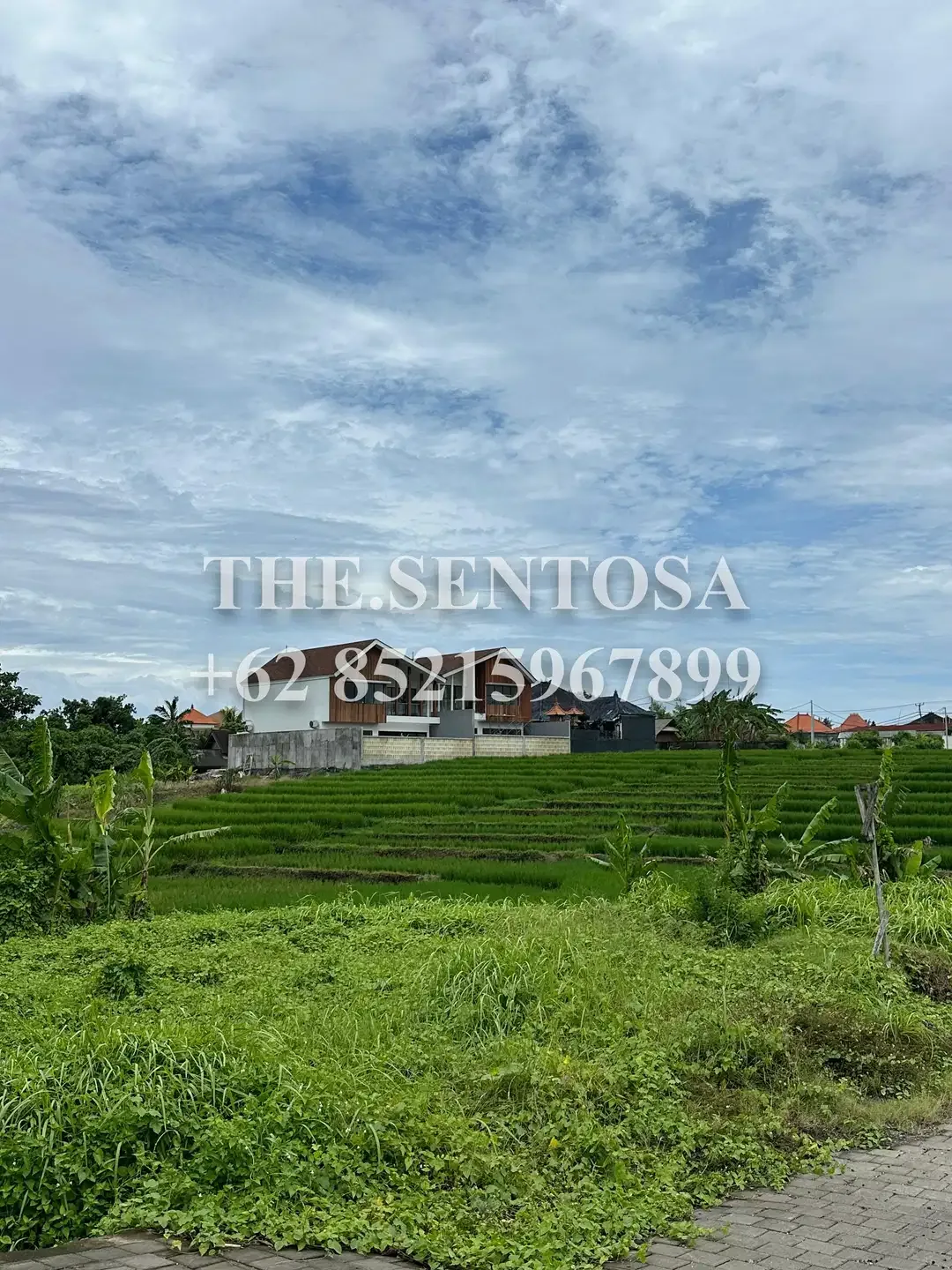 TANAH SIAP BANGUN KEDUNGU dekat NUANU - Image 5 of 9