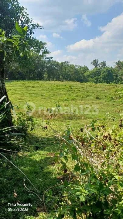 Tanah, SHM, Dekat Pantai di Selemadeg Barat - Image 2 of 4