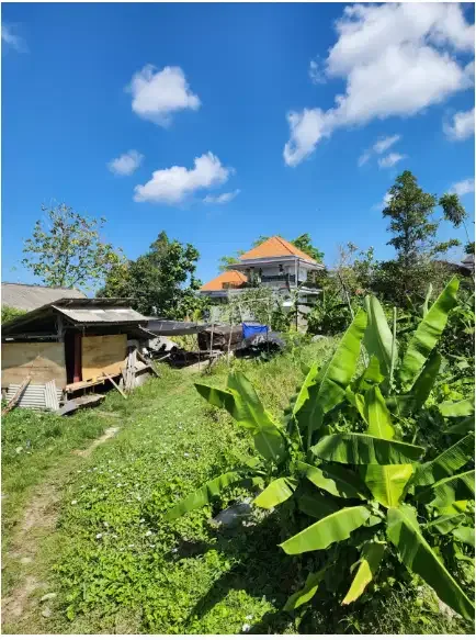 Tanah 18 Are di Berawa Canggu - Image 6 of 9