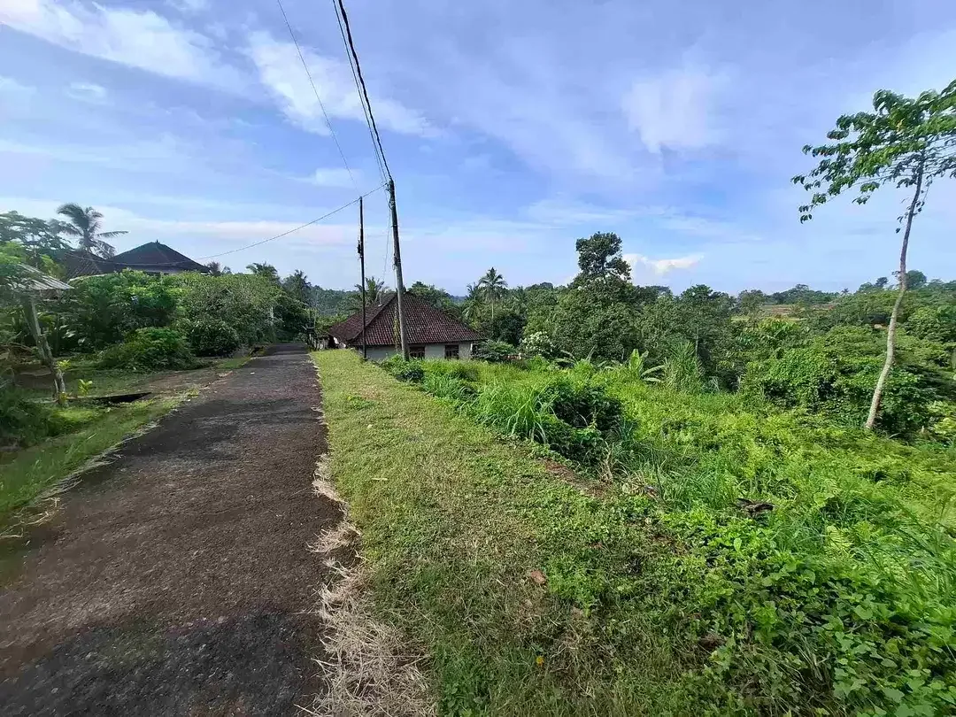tanah kebun view gunung, view sawah dan los sungai kecil - Image 7 of 8