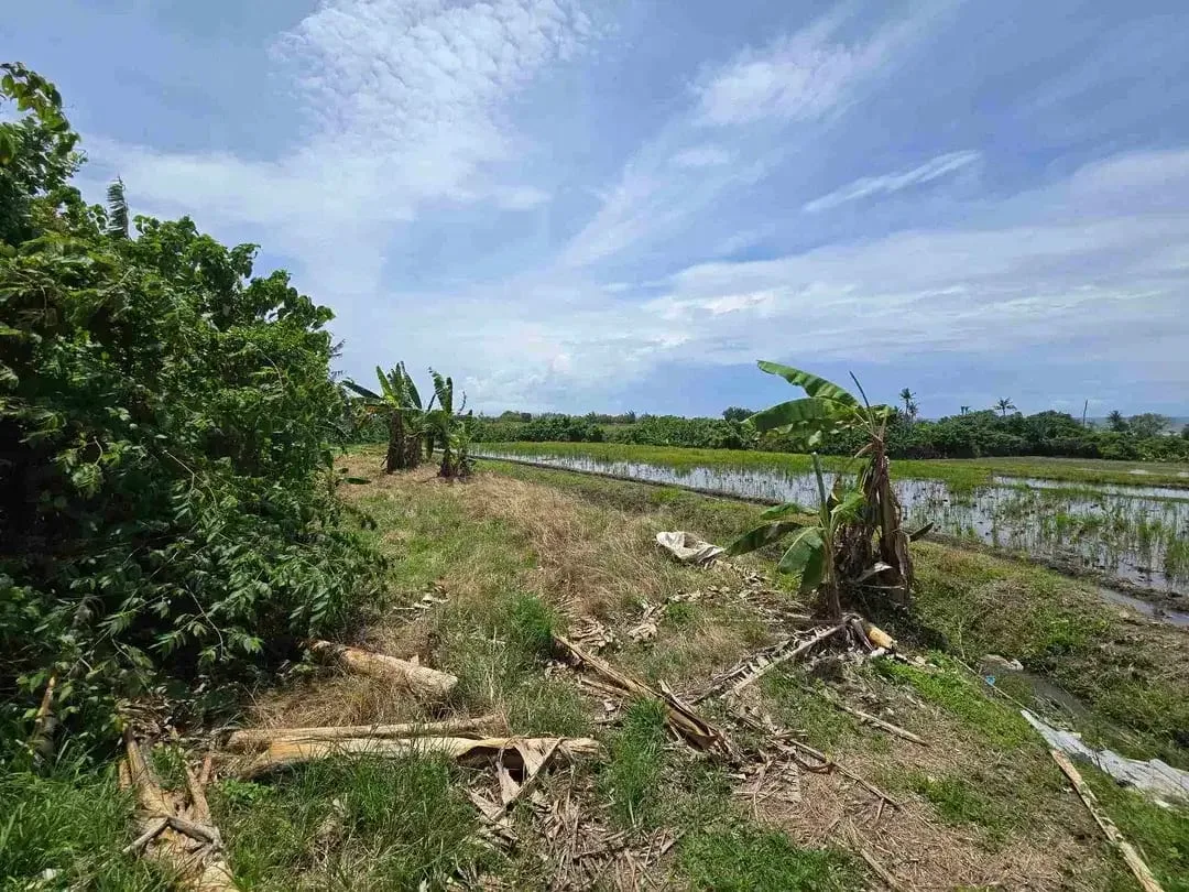 dijual tanah kecil dekat pantai pasut tabanan bali - Image 9 of 10