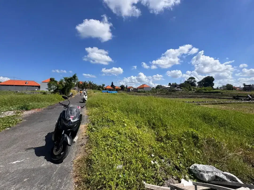 HOT DEAL TANAH CEMAGI – INVESTASI PREMIUM BALI - Image 3 of 5