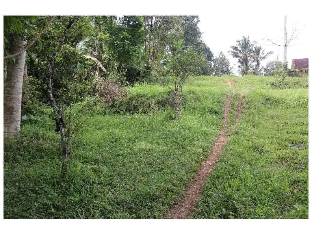 Dijual Tanah Strategis di Desa Apuan, Kecamatan Baturiti, Tabanan - Image 6 of 10