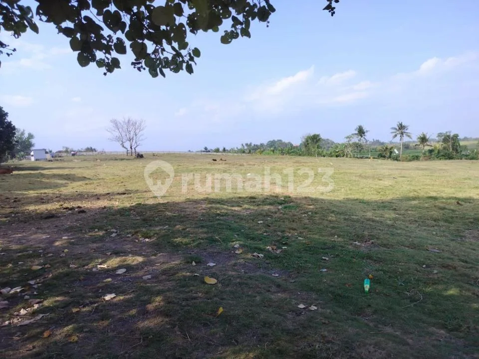 :Fire:dijual Tanah Los Pantai Kelating - Tabanan - 2,7 Hektarlokasi Super Langka! 0 Meter ke Pantai - Image 3 of 4