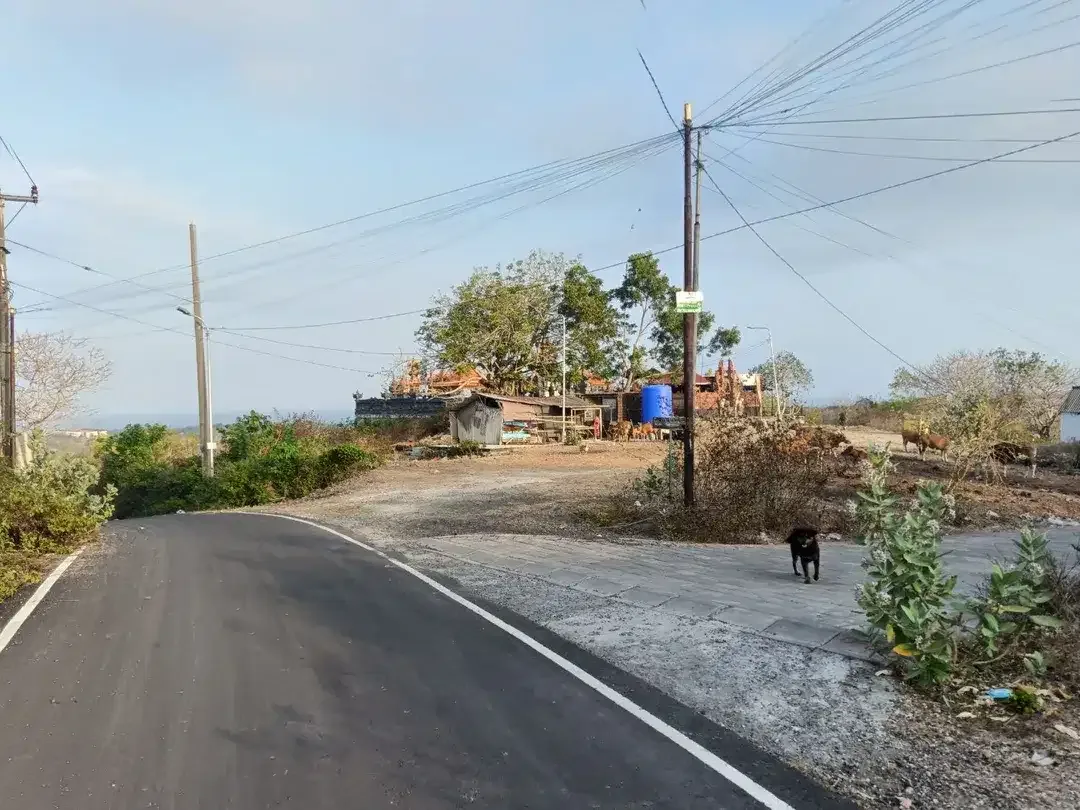Disewakan Segera Tanah 6,8 Are Zona Pink/Pariwisata di Nusa Dua - Image 8 of 10