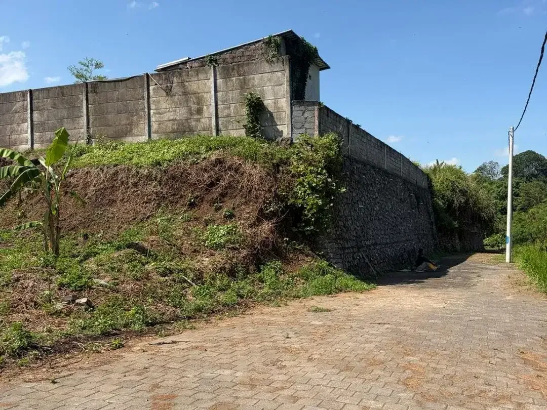 DI JUAL TANAH ZONA KUNING KEDUNGU DEKAT CANGGU VIEW SAWAH - Image 3 of 6