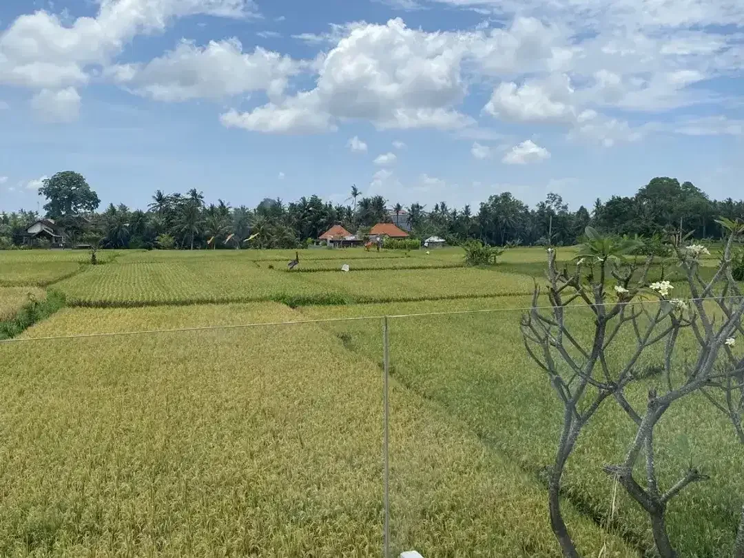 2 Bedroom Villa for sale in Ubud, Bali - Image 2 of 10
