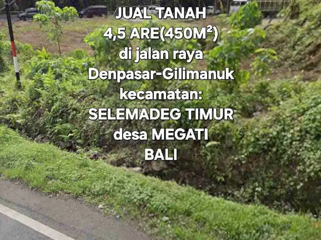 Dijual tanah 4,5are cocok utk bisnis/Ruko / usaha di jalan raya Selemadeg timur Tabanan Bali - Image 4 of 10