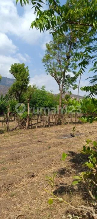 For Sale Land 12 Are With Fantastic Moutain View And Close To The Beach In Pemuteran - Image 1 of 4