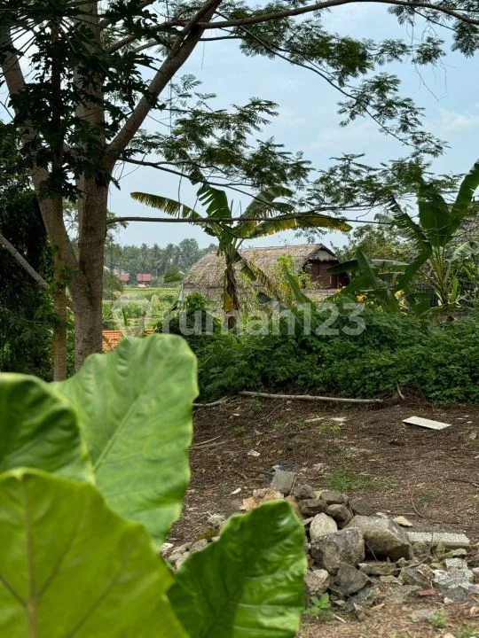 Dijual Tanah di Mas, Ubud - View Sawah & Lingkungan Villa Tenang - Image 4 of 4