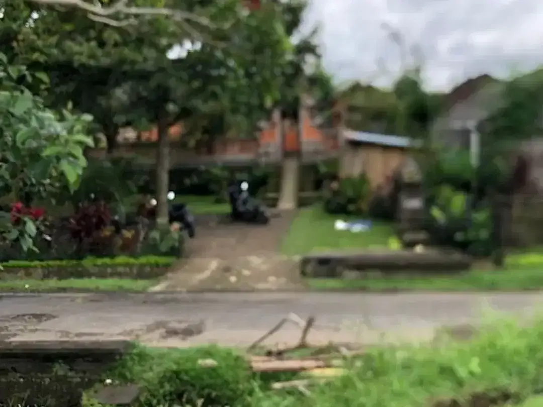 Tanah Murah Dekat Ubud View Sawah Luas 28,2 Are Cocok Villa di Pejeng, Gianyar - Image 3 of 10