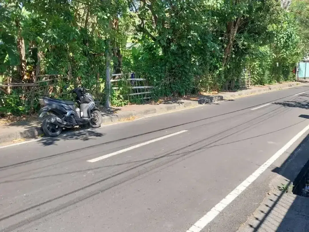 Tanah 75,20 Are Zona Pariwisata Disewakan, di Kedonganan jimbaran - Image 2 of 6
