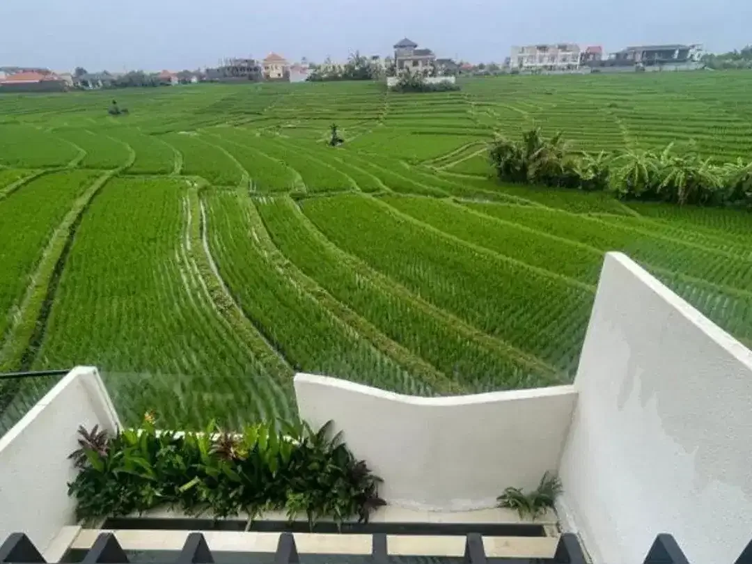 VILLA PRIME INVESTMENT DI CEMAGI DENGAN VIEW SAWAH - Image 5 of 7