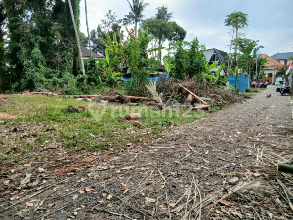 Tanah Plot Kecil Singakerta Ubud - Image 2 of 4