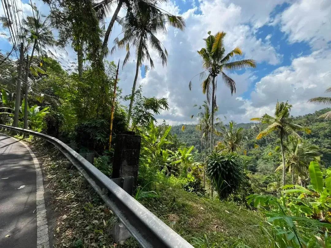 DIJUAL TANAH PREMIUM – PINGGIR JALAN UTAMA DESA BUAHAN, PAYANGAN – GIANYAR - Image 3 of 10