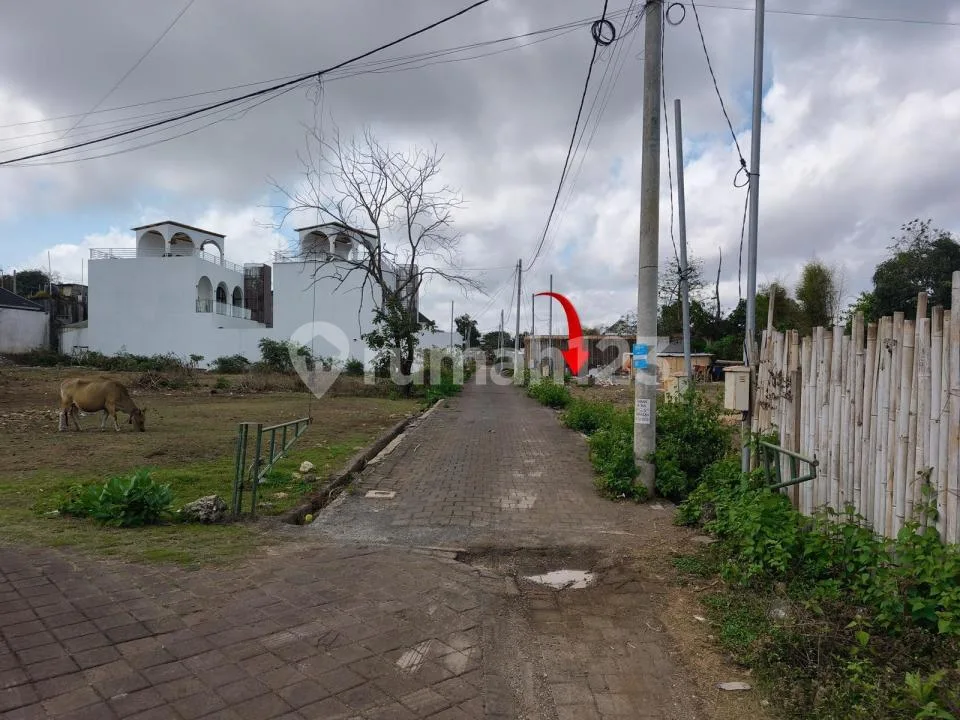 Tanah 3 Are di Ungasan - Kanvas untuk Villa Impian Anda - Image 3 of 4