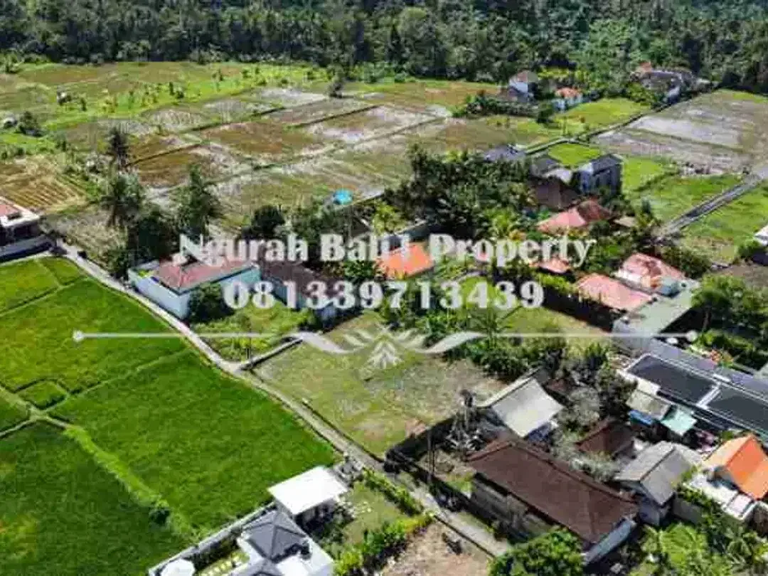 Land For Rent Murah Luas 1300 m2 Kawasan Villa di Ubud - Image 5 of 6