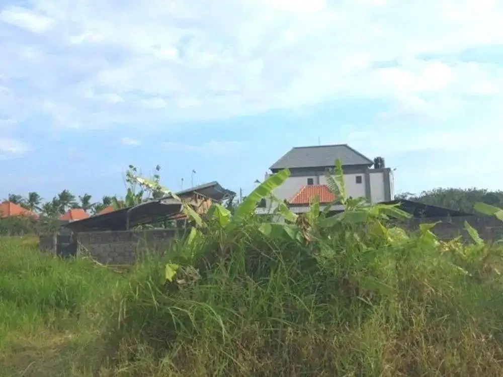 DIJUAL TANAH VIEW SAWAH KAWASAN VILLA - Image 2 of 6