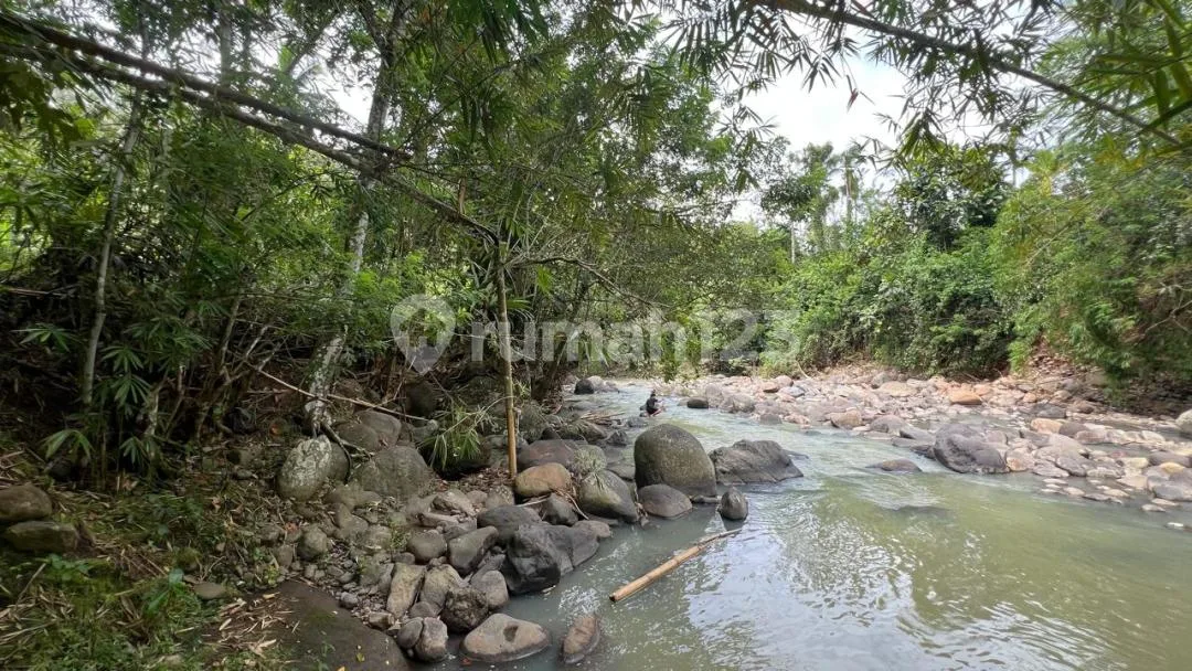 Jual Tanah Kebun Itr Kuning Los Sungai di Tabanan Bali. - Image 1 of 4