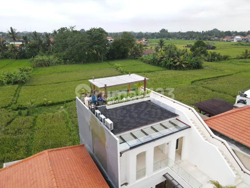 Green Zone Ricefield View - Sayan Ubud 3 br Luas 200M2 - Image 2 of 4